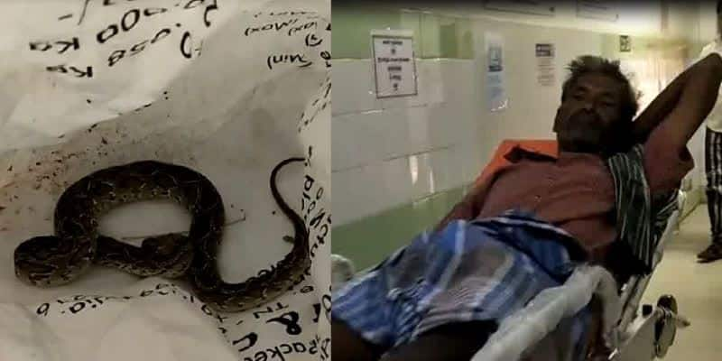 farmer came to hospital with snake