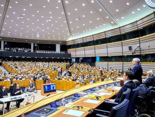 European Union softens on CAA, France supports internal matter with India