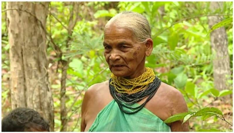 76-year-old Tulasi Gowda bags Padma Award