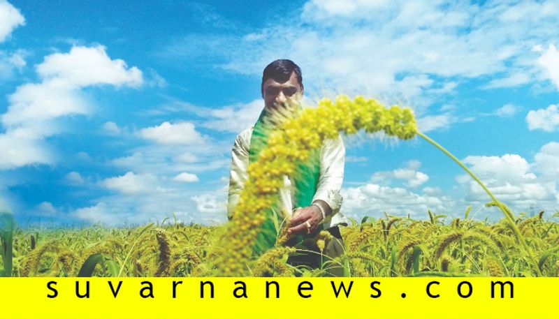 Chitradurga farmers earns crores by growing millets in barren land