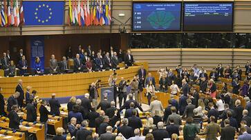 MPs of Indian origin support India not in Pakistan but in European Parliament