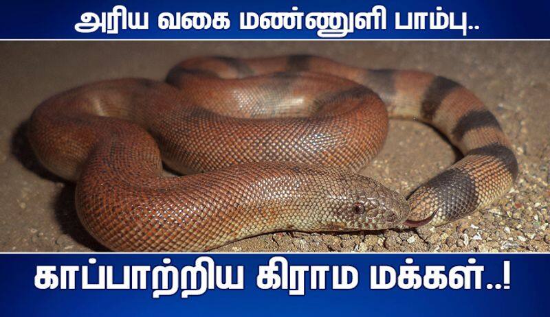 village people save the rare earthly snake