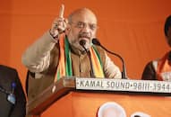 Delhi Assembly election 2020: Kejriwal has done nothing for national capital except spreading lies, says Amit Shah