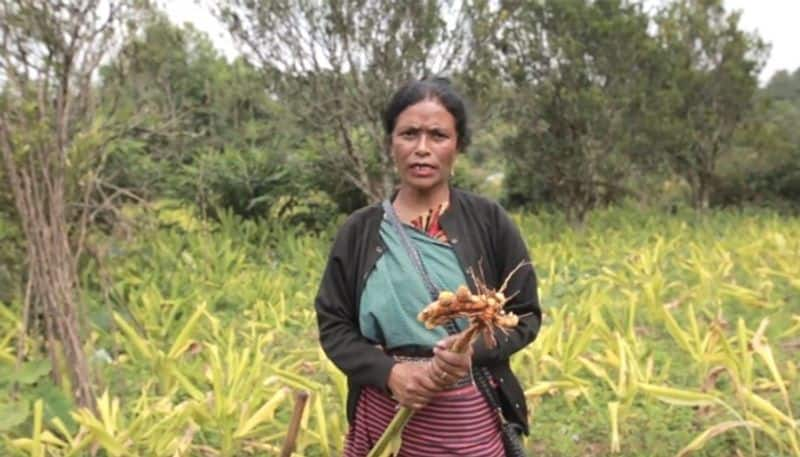 Meghalaya tribal teacher who win padma shri