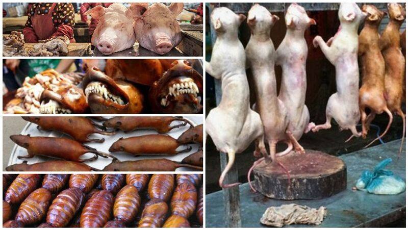 Pork, puppy, snake-borne coronavirus virus ... control small onions ..?