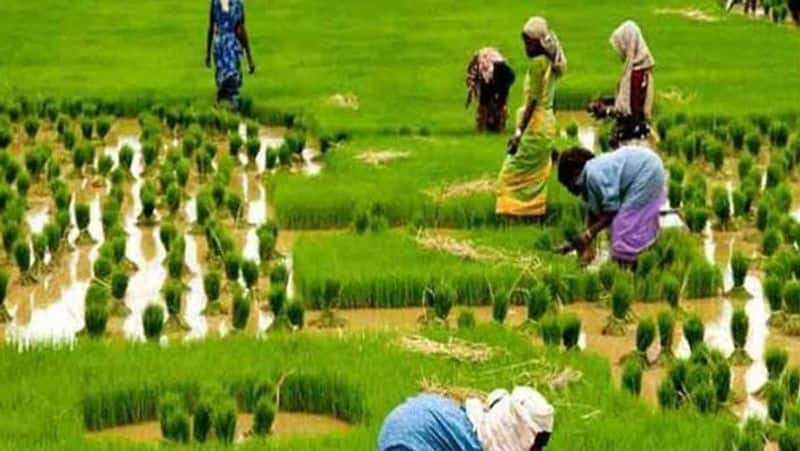 cauvery delta districts safest agriculture zone...CM Edappadi Palanisamy Announces