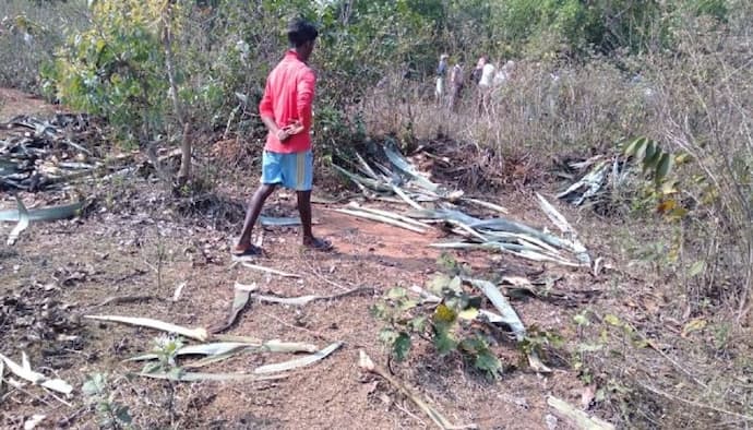 হাতি তাড়াতে গিয়ে প্রাণ গেল হুলা পার্টির সদস্যের, দেহাংশ মিলল জঙ্গলে