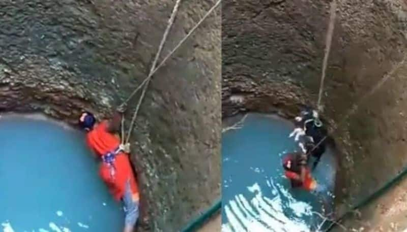 women save stray dog accidentally falls into well in mangalore