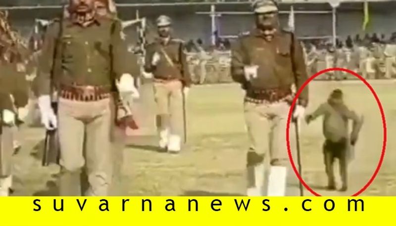 Langoor Kicks Langoor During Drill IPS officer Shares Funny Video