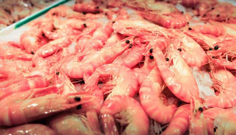 Shrimp Farming is more profitable