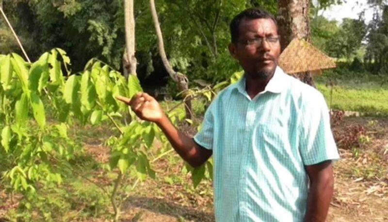 Jitul Saikia fighting to save Muga Silk Worms