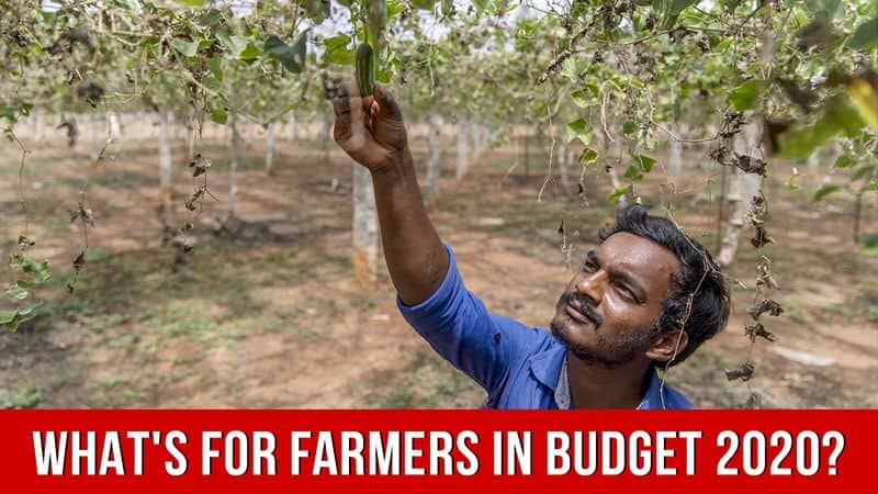 From KISAN Rail To One-Product One-District; Top 10 Key Highlights of Budget 2020 For Doubling Farmers Income By 2022