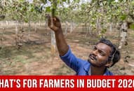 From KISAN Rail To One-Product One-District; Top 10 Key Highlights of Budget 2020 For Doubling Farmers Income By 2022