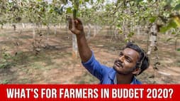 From KISAN Rail To One-Product One-District; Top 10 Key Highlights of Budget 2020 For Doubling Farmers Income By 2022