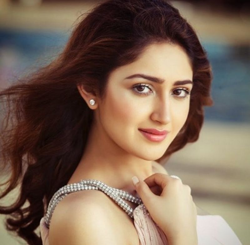 Actor Arya Wife Sayyeshaa Hot bikini photo Going Viral