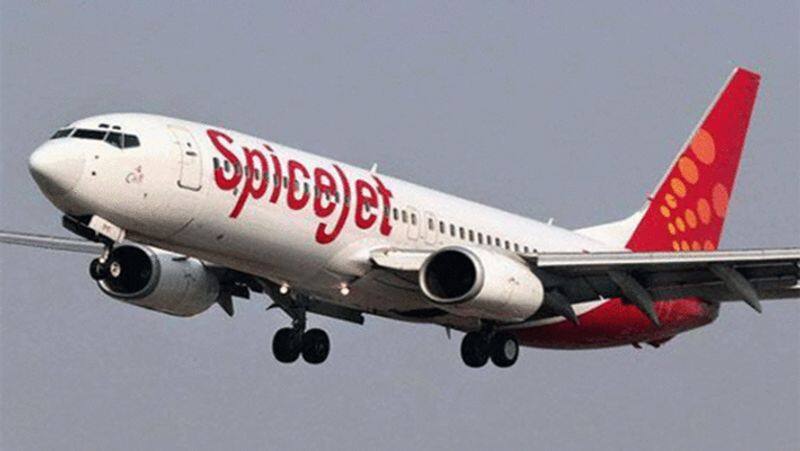 SpiceJet begins aiding COVID-19 tests for passengers in India, UAE-ank