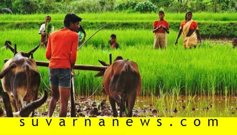 This is how farmers earn crore from agriculture farming