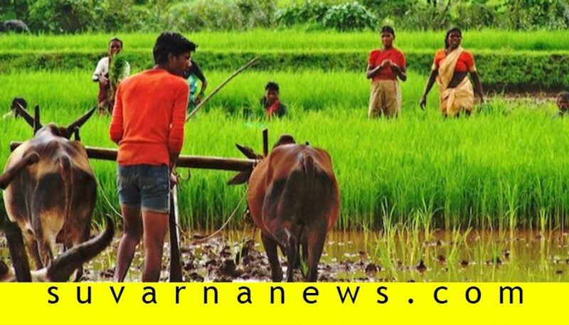 This is how farmers earn crore from agriculture farming