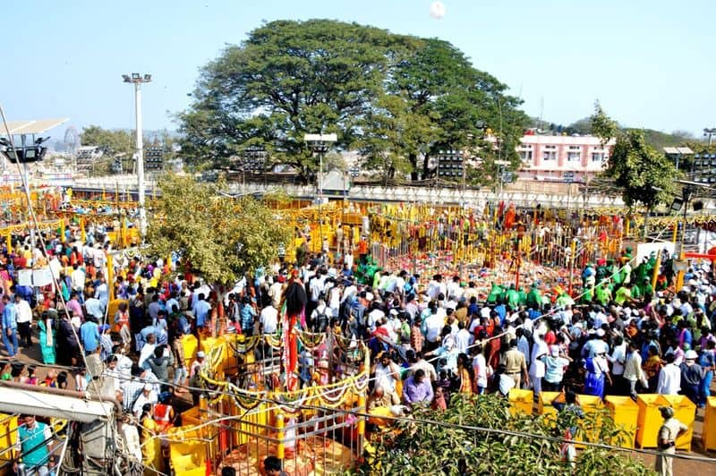 Medaram Jatara to begin Today Evening