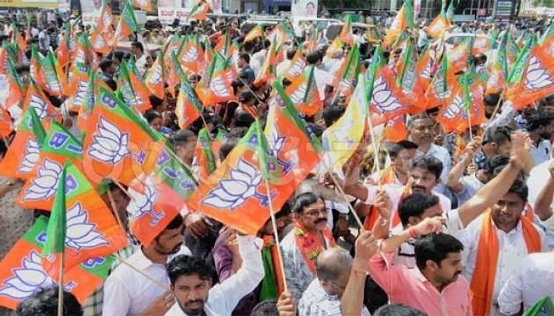 BJP Wins low cost In Elections at Mangaluru Says karunakar reddy