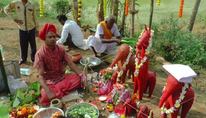 বিদ্যুৎস্পৃষ্ট হয়ে হাতির মৃত্যু, বর্ষপূর্তিতে গ্রামে শ্রাদ্ধের আয়োজন স্থানীয়দের