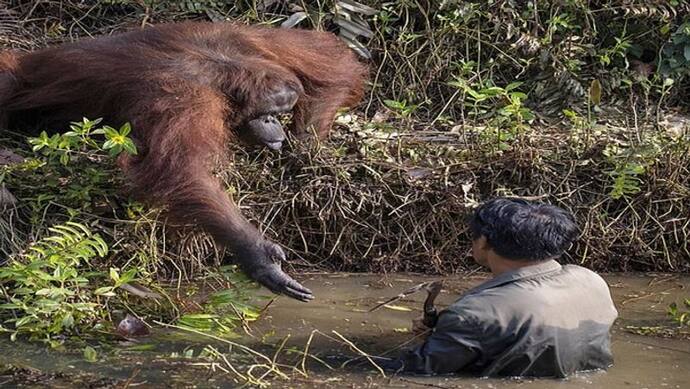 मौत से बचाने के लिए 'मौत' ने ही बढ़ाया हाथ, धीरे-धीरे आया नजदीक  और फिर....