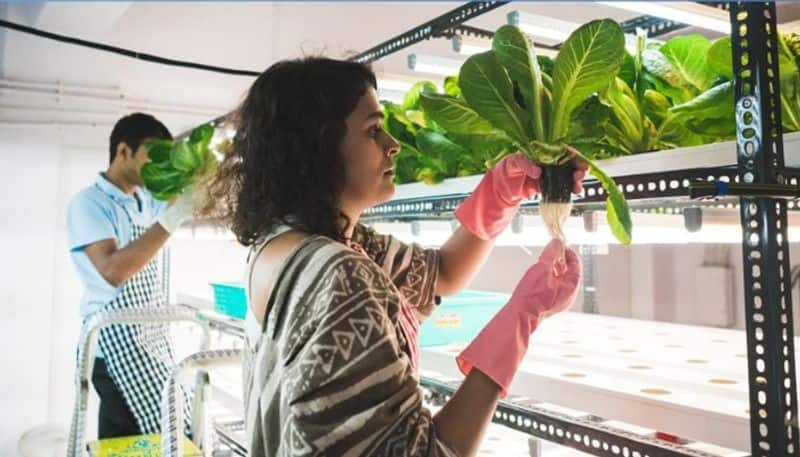 success story of mumbai couple who runs   runs Mumbais first hyperlocal farm