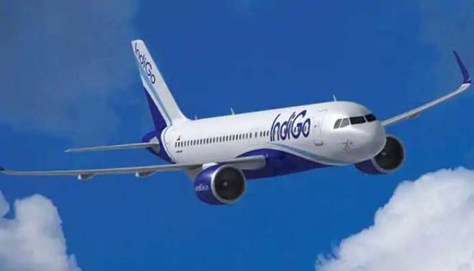 कोरोना वायरस: IndiGo के  सीईओ, वरिष्ठ कर्मियों के वेतन में करेगी 25% तक की कटौती