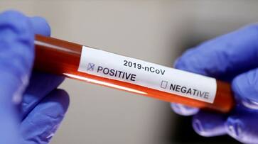 Coronavirus pandemic: As deaths soar, WHO says vaccination will take another 12 to 18 months