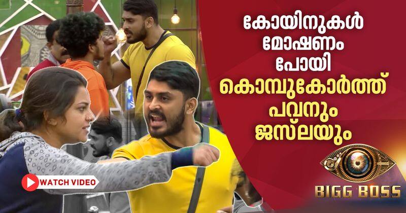 pavan quarrels with jazla and fukru in biggboss malayalam season 2