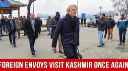 Foreign delegates to visit Jammu and Kashmir