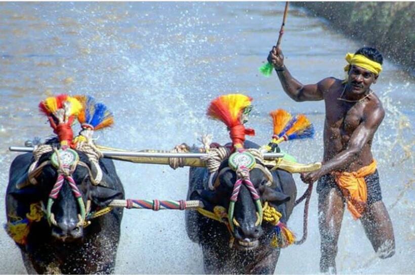 Training for Karnataka’s Usain Bolt cannot be done without due procedure: Kambala Academy founder
