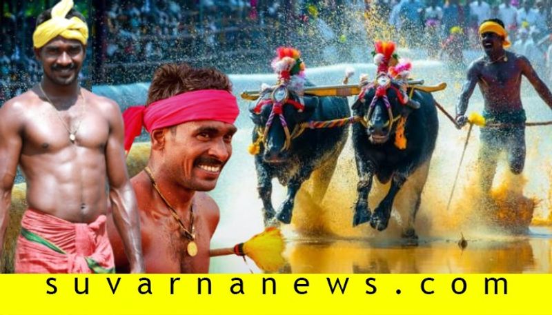 Buffalo Jockey Srinivasa Gowda Who Runs Faster ThAn Usain Bolt Breaks His Own Record in Kambala