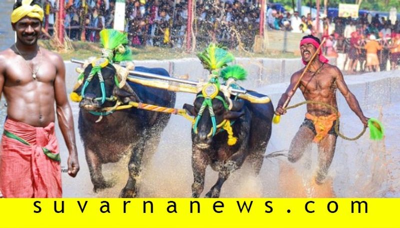 Buffalo jockey who runs faster than Usain Bolt in kambala race Acted in Bahubali 2