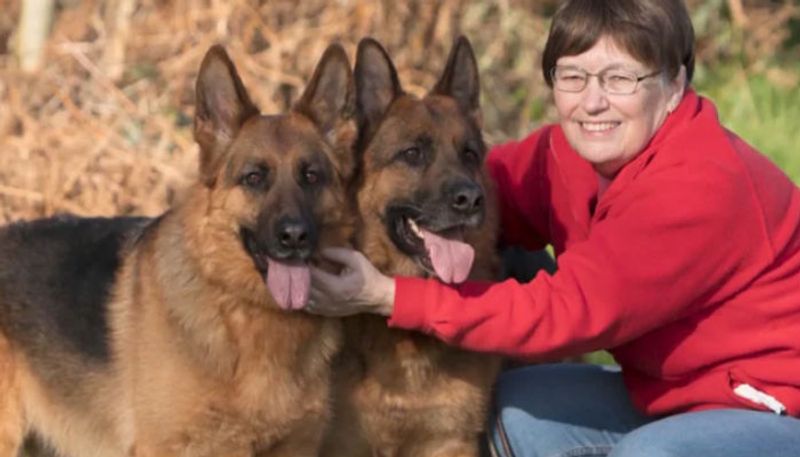 woman claims that her pet dogs could detect her breast cancer