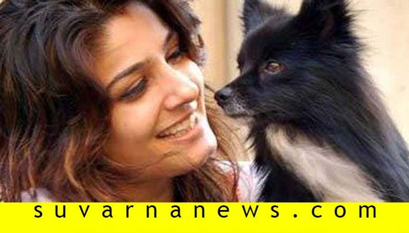 Bollywood actress Raveen Tandon loves animals than humans