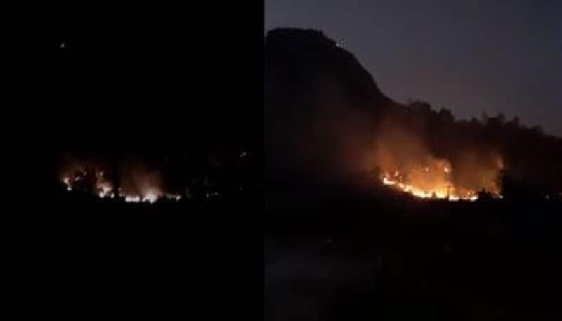 Bushfire in Shivaganga hills Nelamangala Bengaluru