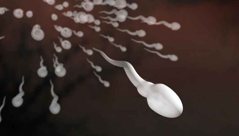 Low sperm count  Symptoms and causes -