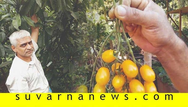 Farmer from Sagara grows Foreign fruits earns in crores