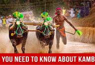 Karnataka's 'Usain Bolt' Srinivas Gowda's Feat Draws Focus On The Sport Of Kambala