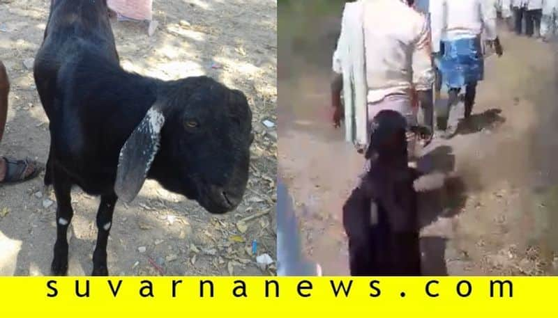 Goat follows owners Funeral procession in raichur