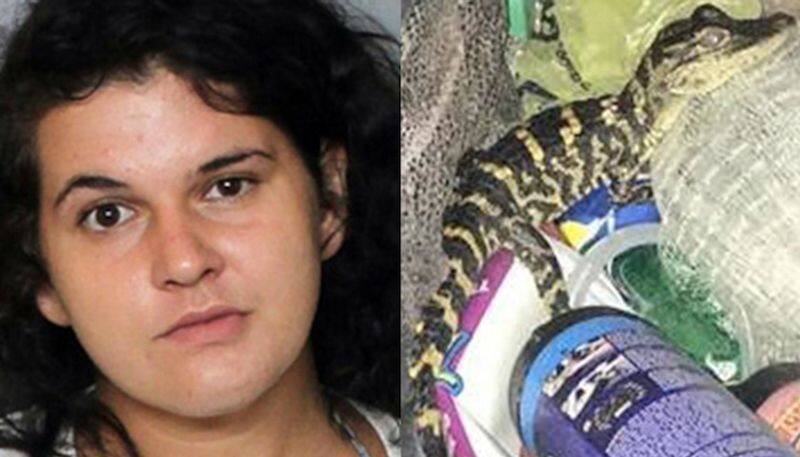 Meet the lady who hid a baby crocodile in her pants pocket