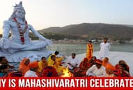 All You Need To Know About The Festival Of Maha Shivaratri