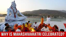 All You Need To Know About The Festival Of Maha Shivaratri