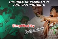 Explained: Is anti-CAA equal to anti-India? The Pakistan factor that seeks to prove this equation