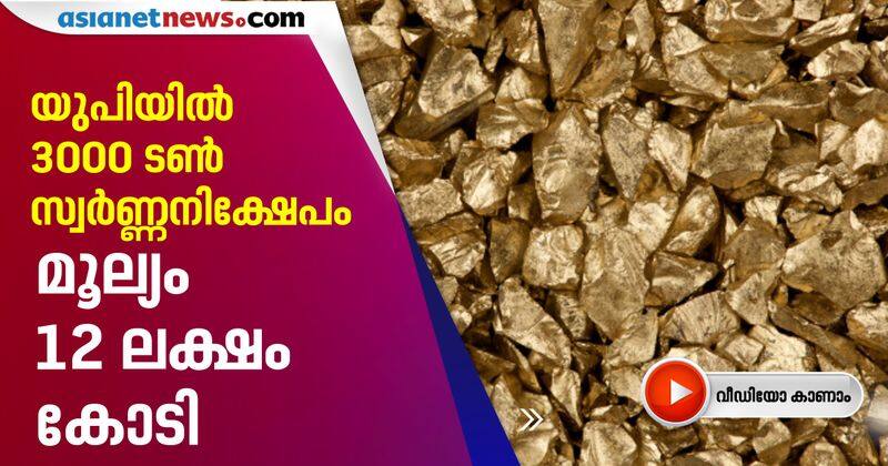 3000 tonnes of gold deposit found in Sonbhadra UP