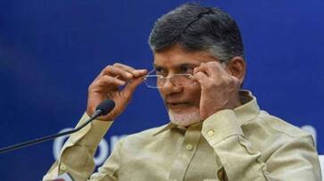 Eggs, tomatoes and shoes on Chandrababu Naidu