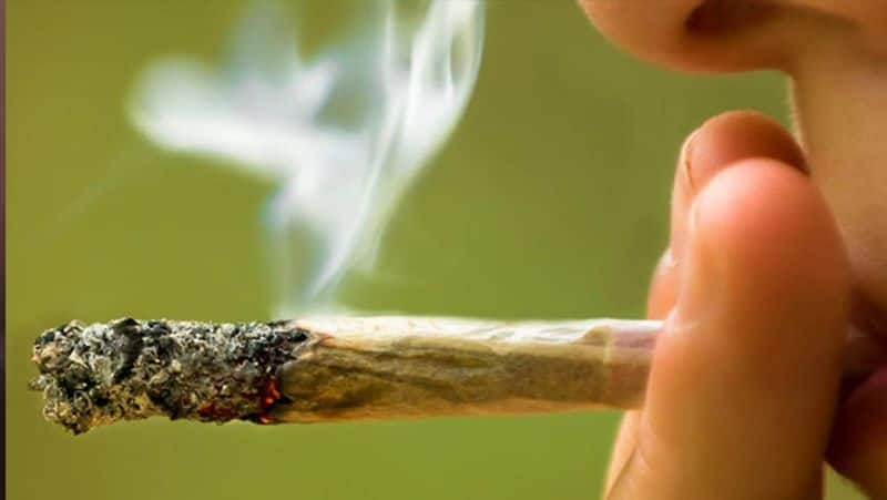 14 marijuana Cases In Just 3 Months  Uttara Kannada District rbj