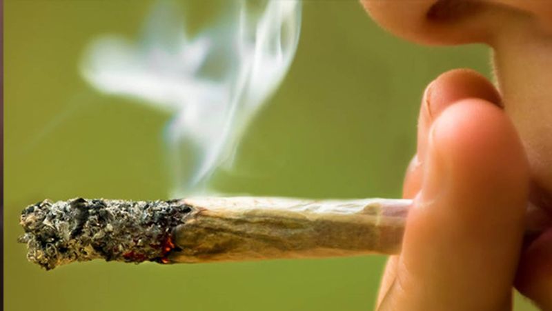 14 marijuana Cases In Just 3 Months  Uttara Kannada District rbj