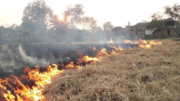 নিষেধাজ্ঞা উড়িয়েই এই রাজ্যে চলছে নাড়া পোড়া, ফিরছে দিল্লি দূষণের ভয়াবহ স্মৃতি